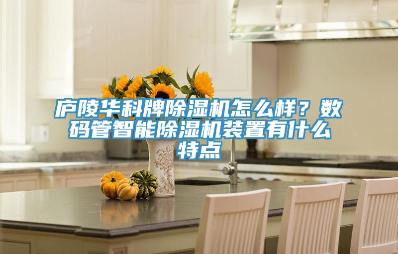 廬陵華科牌除濕機(jī)怎么樣？數(shù)碼管智能除濕機(jī)裝置有什么特點(diǎn)