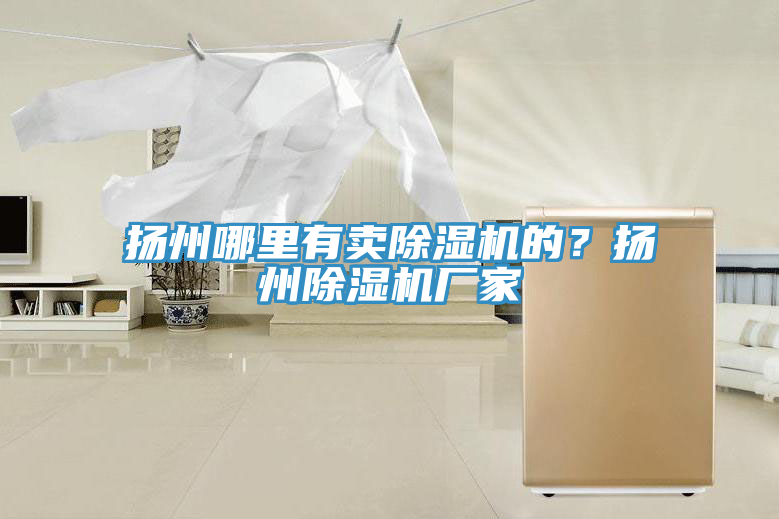 揚(yáng)州哪里有賣除濕機(jī)的？揚(yáng)州除濕機(jī)廠家