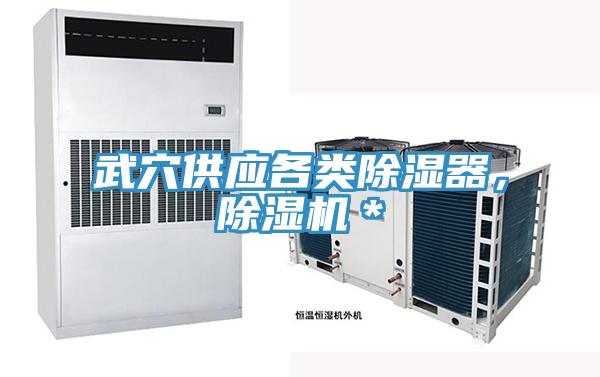 武穴供應(yīng)各類除濕器，除濕機(jī)＊