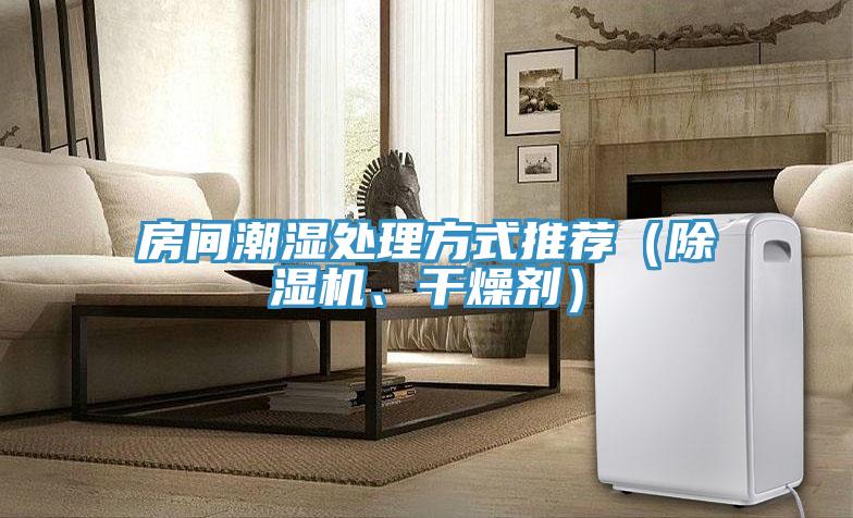 房間潮濕處理方式推薦（除濕機、干燥劑）