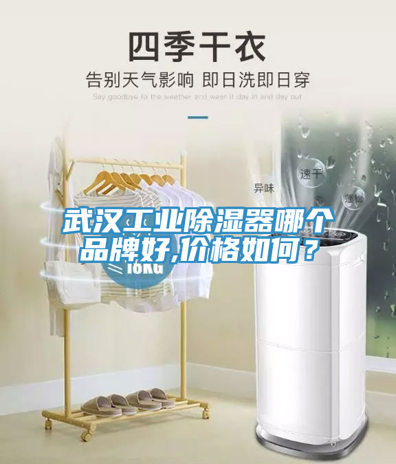 武漢工業(yè)除濕器哪個品牌好,價格如何？