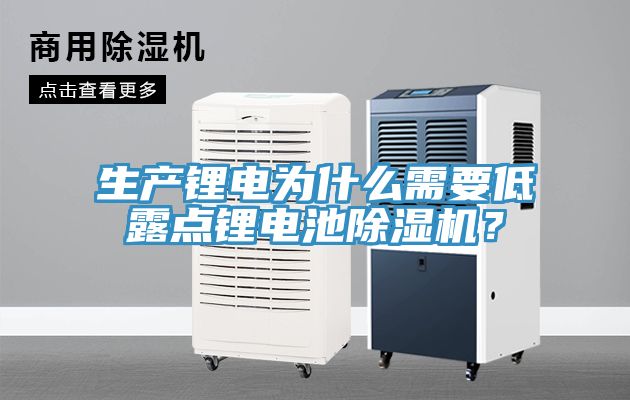 生產(chǎn)鋰電為什么需要低露點(diǎn)鋰電池除濕機(jī)？