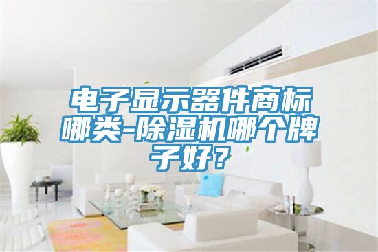 電子顯示器件商標(biāo)哪類-除濕機哪個牌子好？