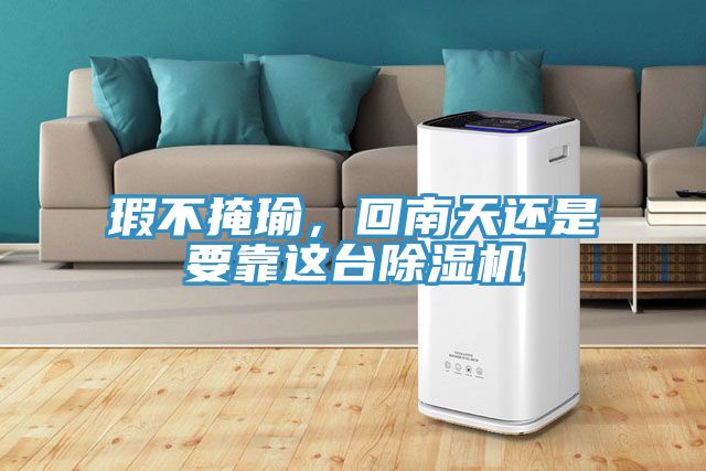 瑕不掩瑜，回南天還是要靠這臺除濕機