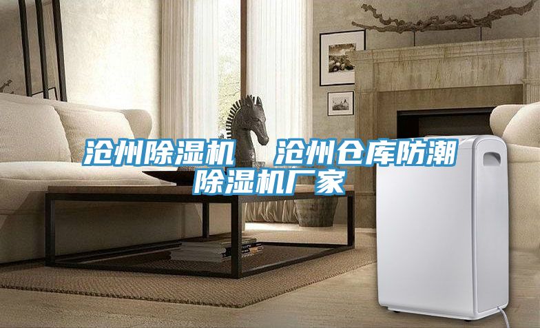 滄州除濕機(jī)  滄州倉(cāng)庫(kù)防潮除濕機(jī)廠(chǎng)家