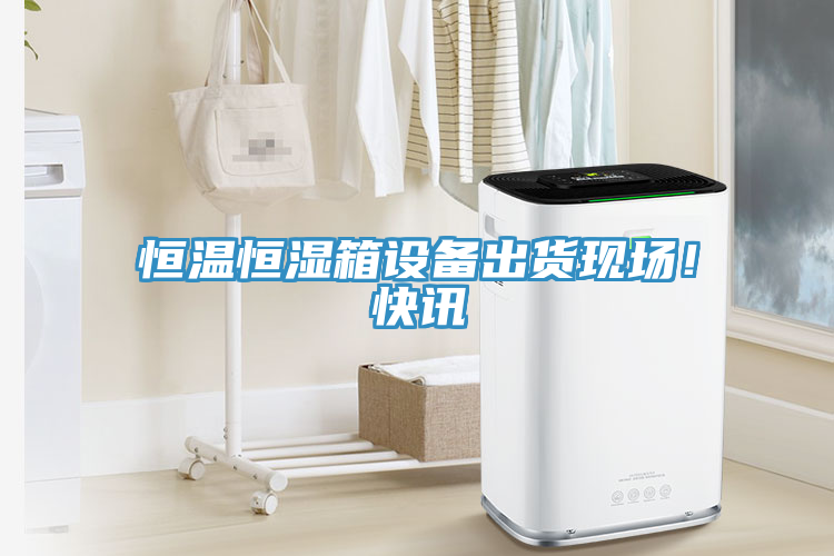 恒溫恒濕箱設(shè)備出貨現(xiàn)場！快訊