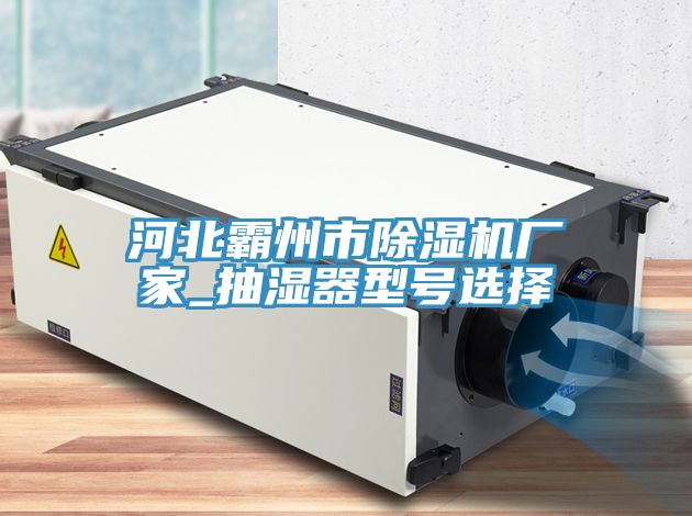河北霸州市除濕機(jī)廠(chǎng)家_抽濕器型號(hào)選擇