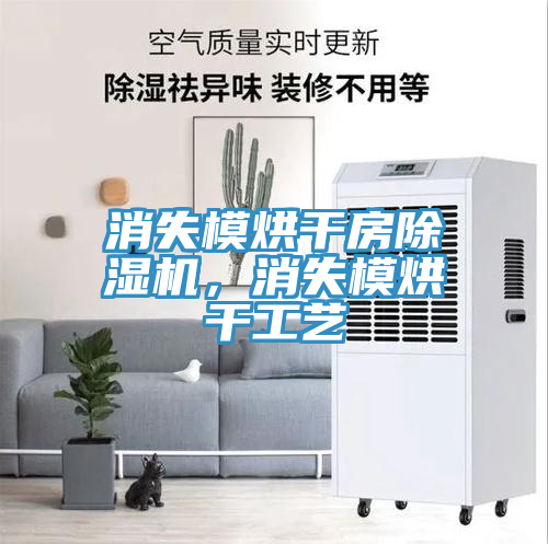 消失模烘干房除濕機(jī)，消失模烘干工藝