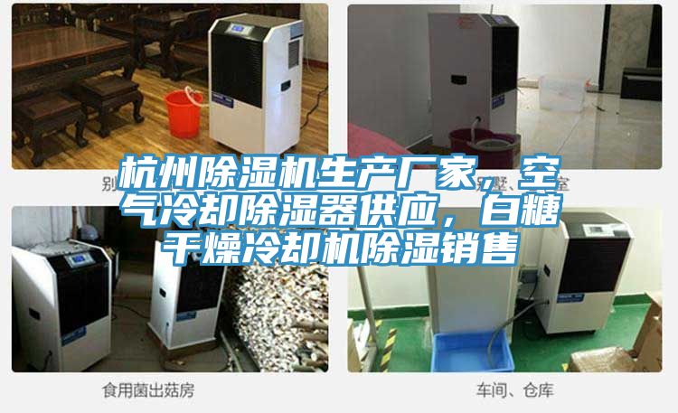 杭州除濕機生產(chǎn)廠家，空氣冷卻除濕器供應(yīng)，白糖干燥冷卻機除濕銷售