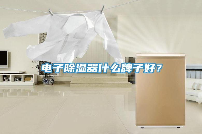 電子除濕器什么牌子好？