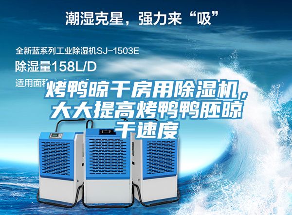 烤鴨晾干房用除濕機，大大提高烤鴨鴨胚晾干速度