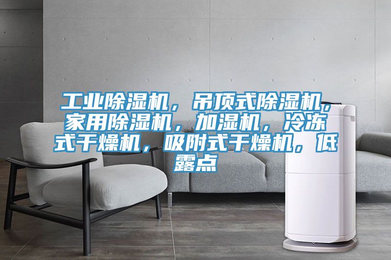 工業(yè)除濕機(jī)，吊頂式除濕機(jī)，家用除濕機(jī)，加濕機(jī)，冷凍式干燥機(jī)，吸附式干燥機(jī)，低露點(diǎn)
