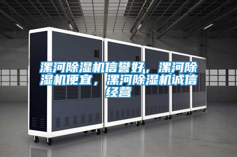 漯河除濕機(jī)信譽好，漯河除濕機(jī)便宜，漯河除濕機(jī)誠信經(jīng)營