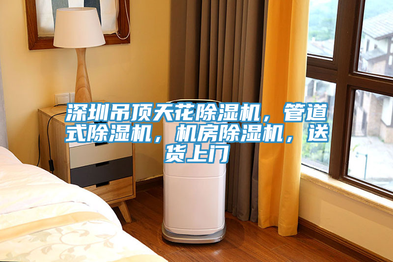 深圳吊頂天花除濕機(jī)，管道式除濕機(jī)，機(jī)房除濕機(jī)，送貨上門