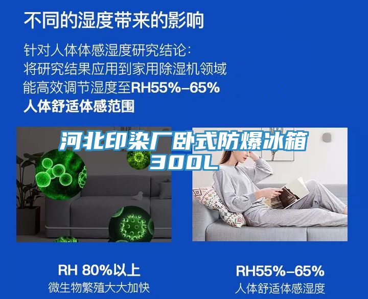 河北印染廠(chǎng)臥式防爆冰箱300L