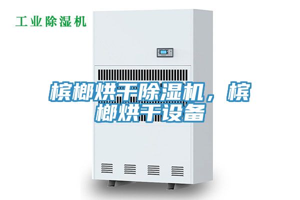 檳榔烘干除濕機，檳榔烘干設備