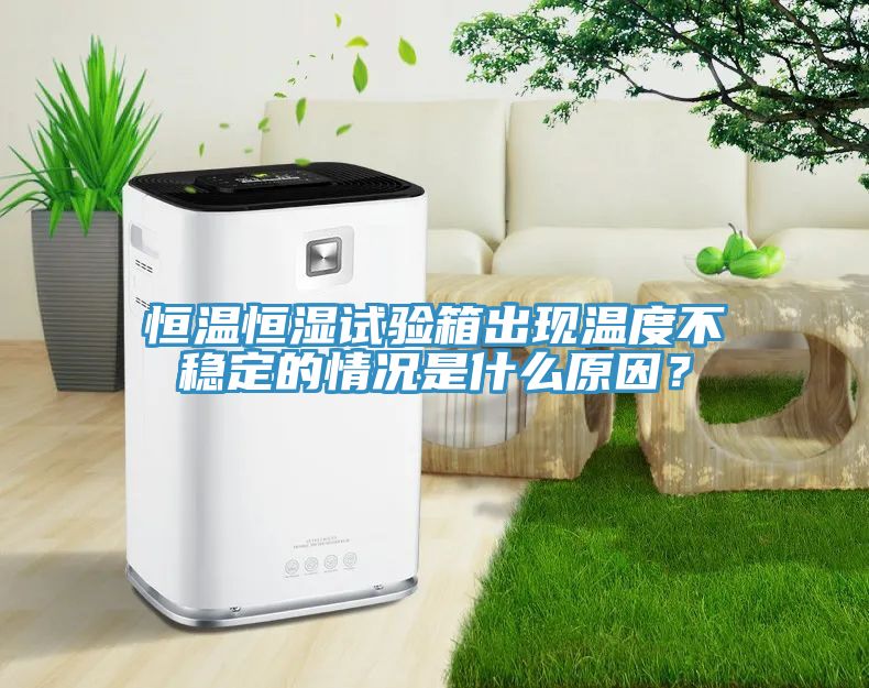 恒溫恒濕試驗箱出現(xiàn)溫度不穩(wěn)定的情況是什么原因？