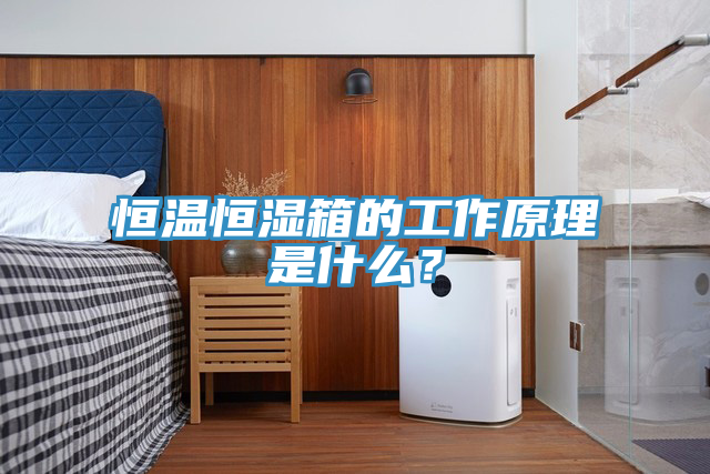 恒溫恒濕箱的工作原理是什么？