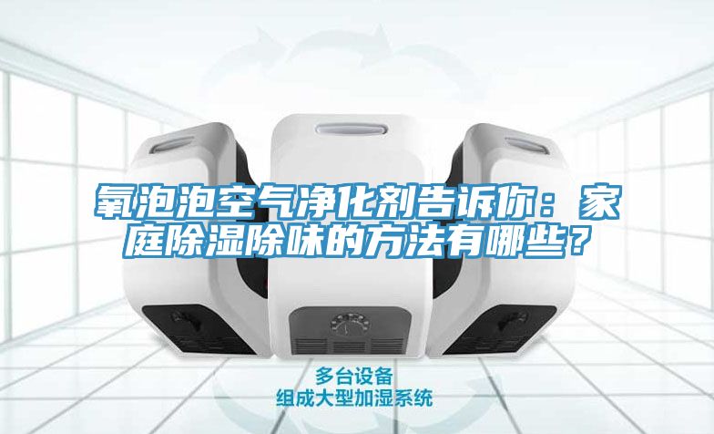 氧泡泡空氣凈化劑告訴你：家庭除濕除味的方法有哪些？