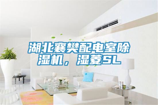 湖北襄樊配電室除濕機(jī)，濕菱SL
