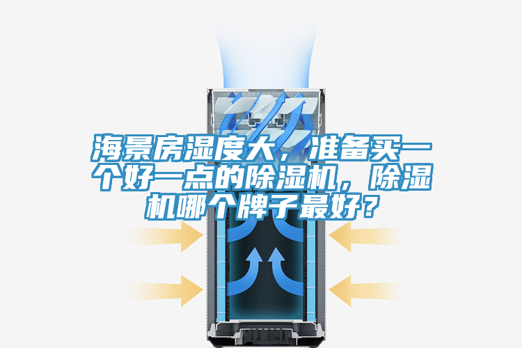 海景房濕度大，準(zhǔn)備買一個(gè)好一點(diǎn)的除濕機(jī)，除濕機(jī)哪個(gè)牌子最好？