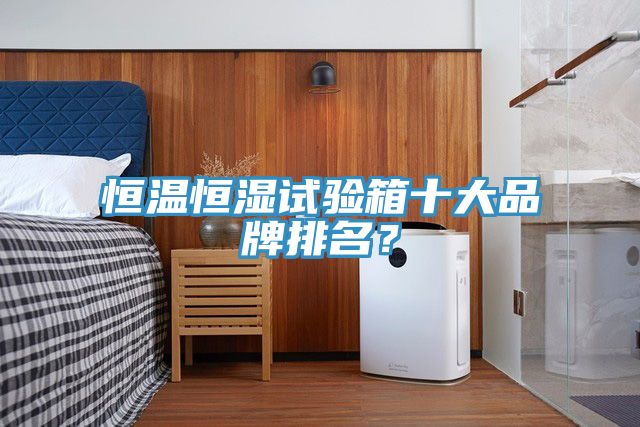 恒溫恒濕試驗(yàn)箱十大品牌排名？