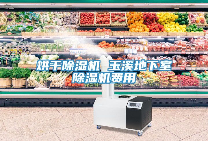 烘干除濕機(jī) 玉溪地下室除濕機(jī)費用