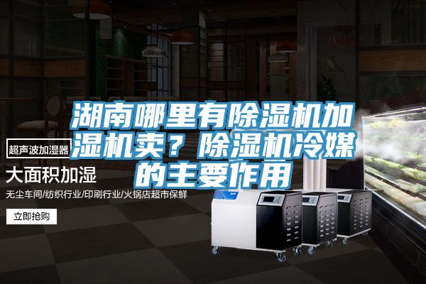 湖南哪里有除濕機(jī)加濕機(jī)賣？除濕機(jī)冷媒的主要作用