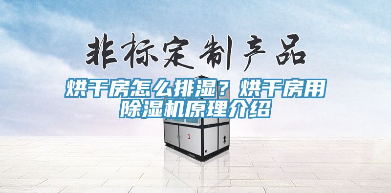 烘干房怎么排濕？烘干房用除濕機(jī)原理介紹