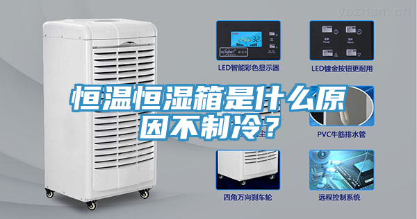 恒溫恒濕箱是什么原因不制冷？