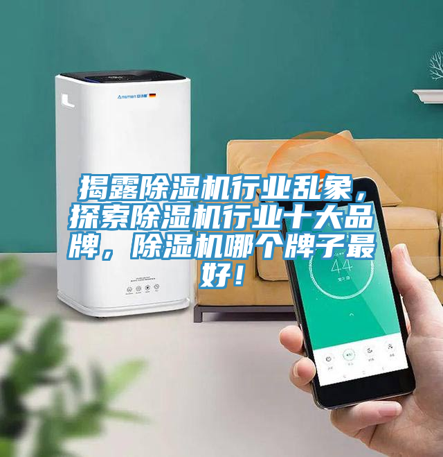 揭露除濕機行業(yè)亂象，探索除濕機行業(yè)十大品牌，除濕機哪個牌子最好！