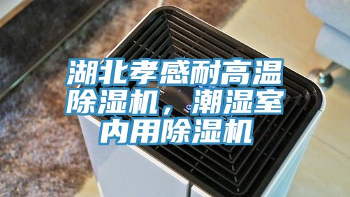 湖北孝感耐高溫除濕機(jī)，潮濕室內(nèi)用除濕機(jī)