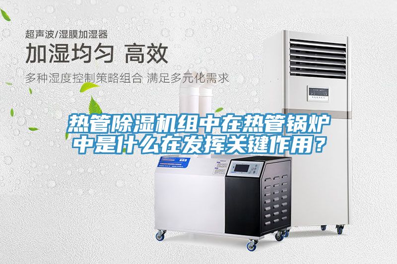 熱管除濕機(jī)組中在熱管鍋爐中是什么在發(fā)揮關(guān)鍵作用？