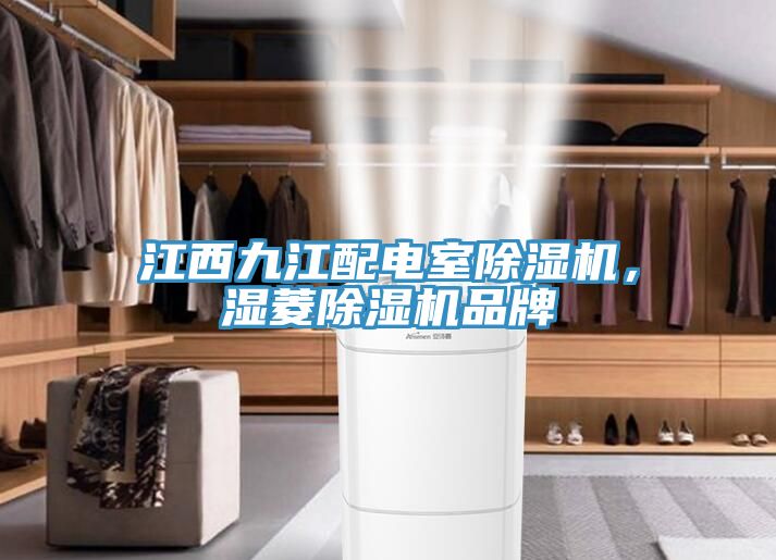 江西九江配電室除濕機(jī)，濕菱除濕機(jī)品牌