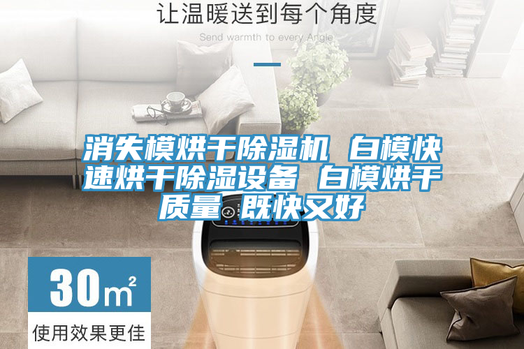 消失模烘干除濕機(jī) 白?？焖俸娓沙凉裨O(shè)備 白模烘干質(zhì)量 既快又好
