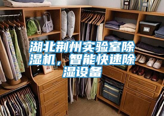 湖北荊州實(shí)驗(yàn)室除濕機(jī)，智能快速除濕設(shè)備