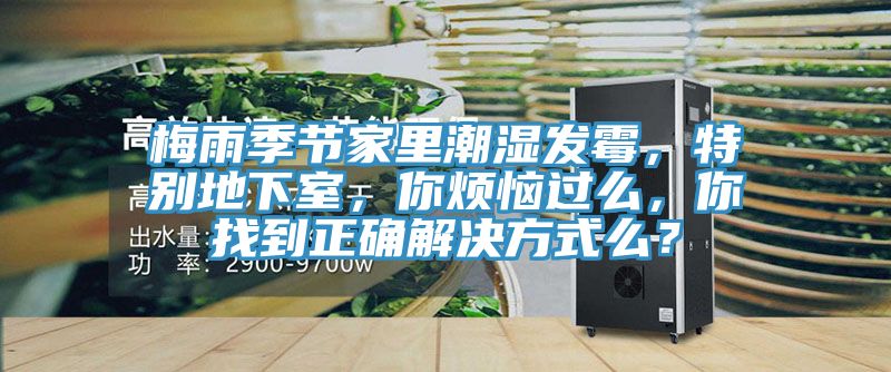 梅雨季節(jié)家里潮濕發(fā)霉，特別地下室，你煩惱過么，你找到正確解決方式么？