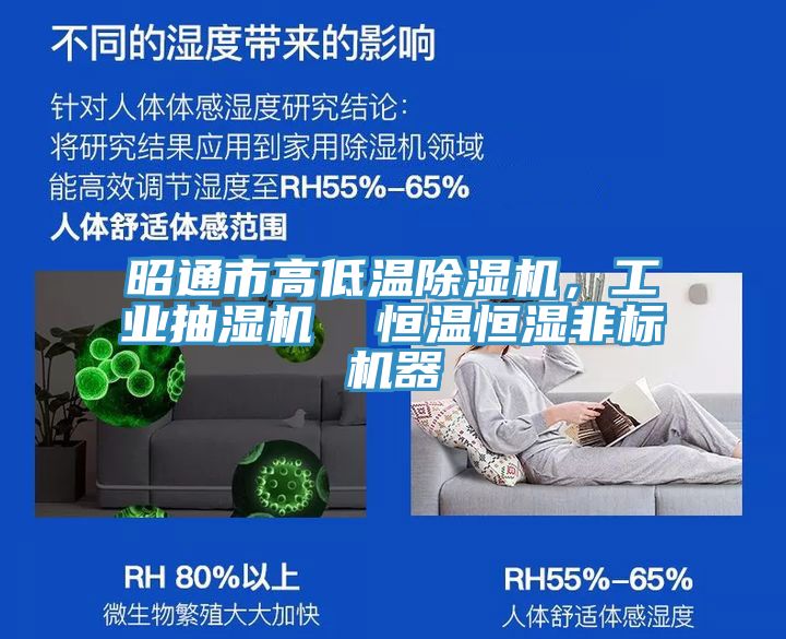 昭通市高低溫除濕機(jī)，工業(yè)抽濕機(jī)  恒溫恒濕非標(biāo)機(jī)器