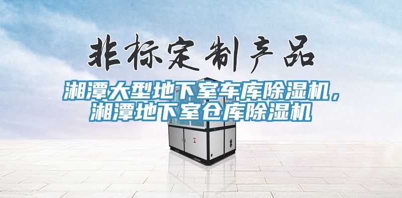 湘潭大型地下室車庫(kù)除濕機(jī)，湘潭地下室倉(cāng)庫(kù)除濕機(jī)
