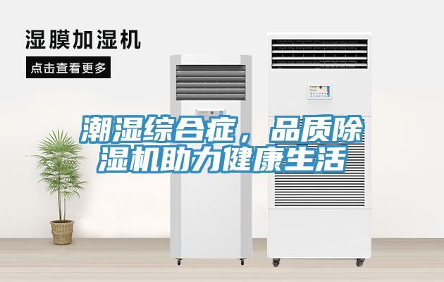 潮濕綜合癥，品質(zhì)除濕機(jī)助力健康生活