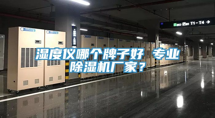 濕度儀哪個牌子好 專業(yè)除濕機廠家？