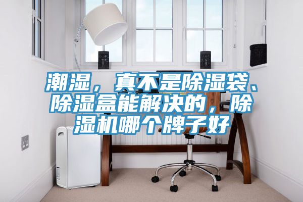 潮濕，真不是除濕袋、除濕盒能解決的，除濕機(jī)哪個(gè)牌子好
