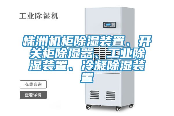 株洲機(jī)柜除濕裝置、開關(guān)柜除濕器、工業(yè)除濕裝置、冷凝除濕裝置