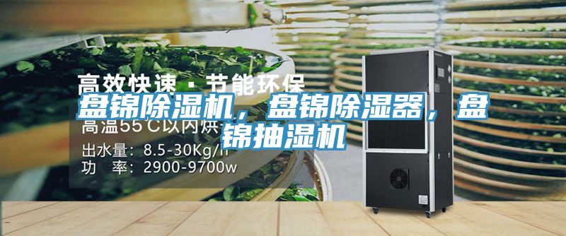 盤錦除濕機(jī)，盤錦除濕器，盤錦抽濕機(jī)