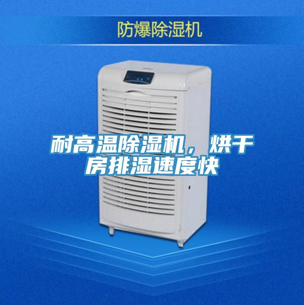 耐高溫除濕機(jī)，烘干房排濕速度快