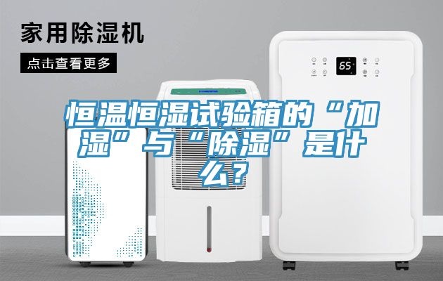 恒溫恒濕試驗(yàn)箱的“加濕”與“除濕”是什么？