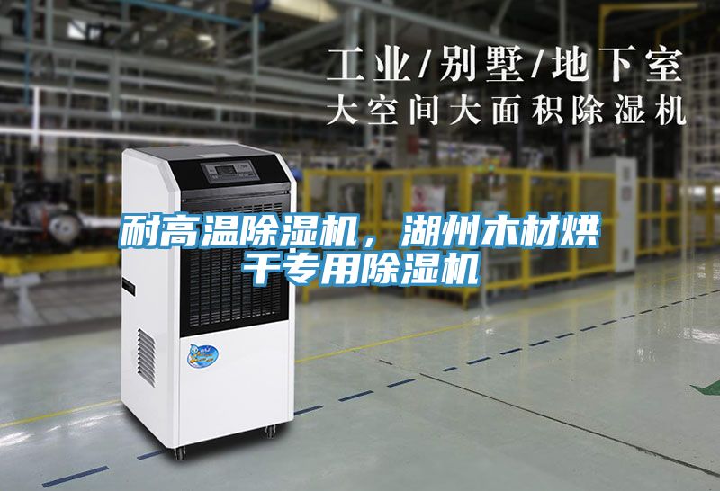耐高溫除濕機(jī)，湖州木材烘干專用除濕機(jī)