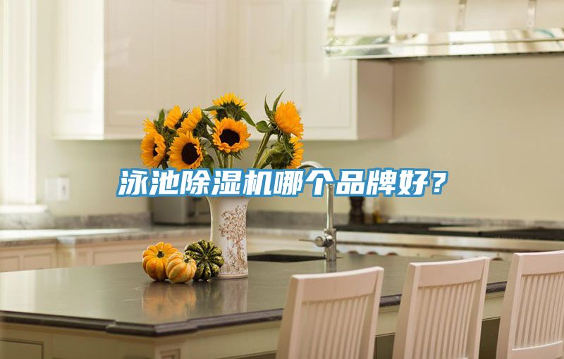 泳池除濕機哪個品牌好？