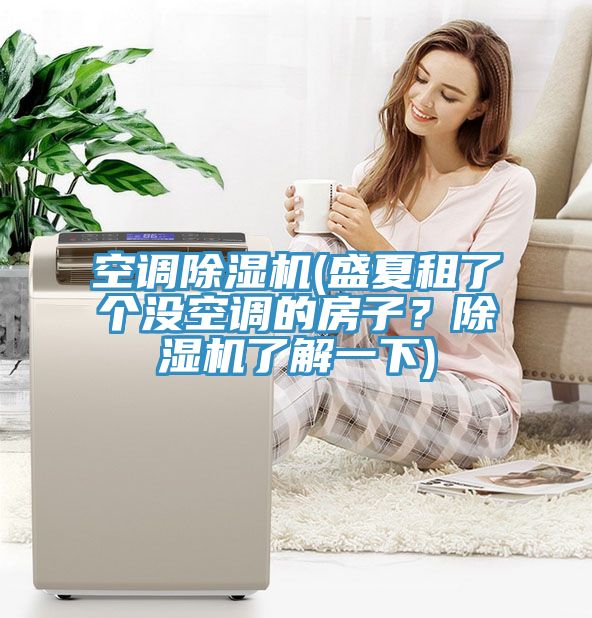 空調(diào)除濕機(jī)(盛夏租了個(gè)沒(méi)空調(diào)的房子？除濕機(jī)了解一下)