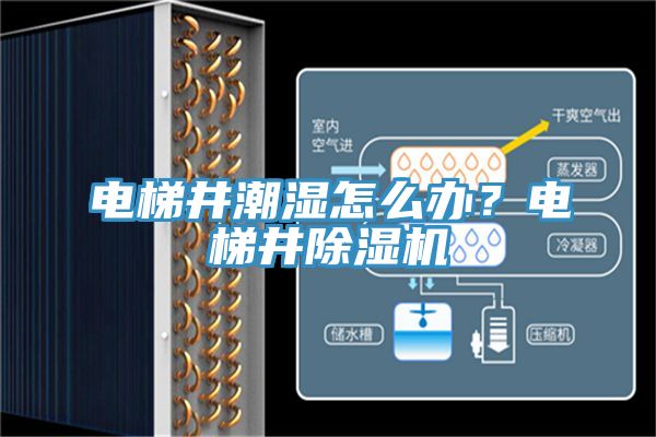 電梯井潮濕怎么辦？電梯井除濕機(jī)